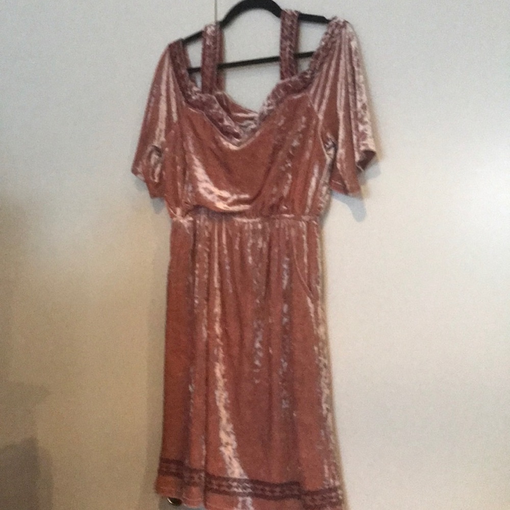 Lucky Brand Gorgeous Rose gold velvet dress
